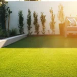 Paco turf