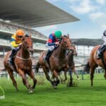 Understanding Sectional Timing in Horse Racing