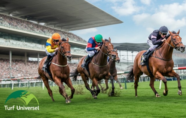 Understanding Sectional Timing in Horse Racing